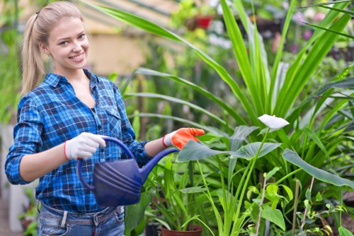 Gardener trimming a hedge along a path