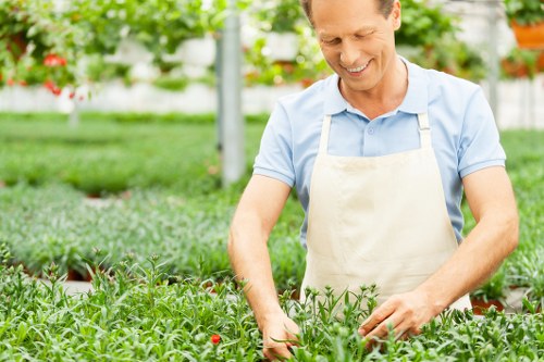 Eco-friendly hedge trimming practices