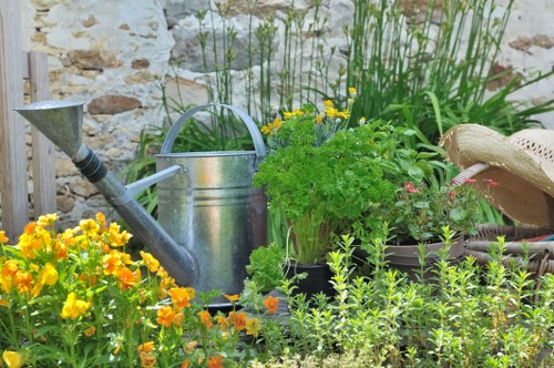 Professional garden clearance services available in Ickenham