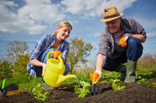 In the outdoor garden of a residential property in Ickenham, two individuals are engaged in gardening activities under a partly cloudy sky. A young woman with blonde hair, dressed in casual clothing, is leaning forward, smiling as she waters young lettuce plants with a yellow watering can. Beside her, an older man wearing a straw hat, plaid shirt, and green rubber boots, is also crouching and using gardening gloves to tend to the soil near the plants. The background features a lawn area and a line of mature trees, with a clear blue sky and scattered white clouds overhead. The garden bed is well-maintained, with dark, rich soil and vibrant green seedlings, bordered by paved pathways or lawn edges. This scene reflects typical gardening work carried out in front or back gardens in Ickenham, highlighting careful plant care and outdoor maintenance, consistent with services offered by Hedge Trimming Ickenham in the local area.