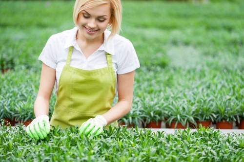 Person using keyboard navigation to access hedge trimming information